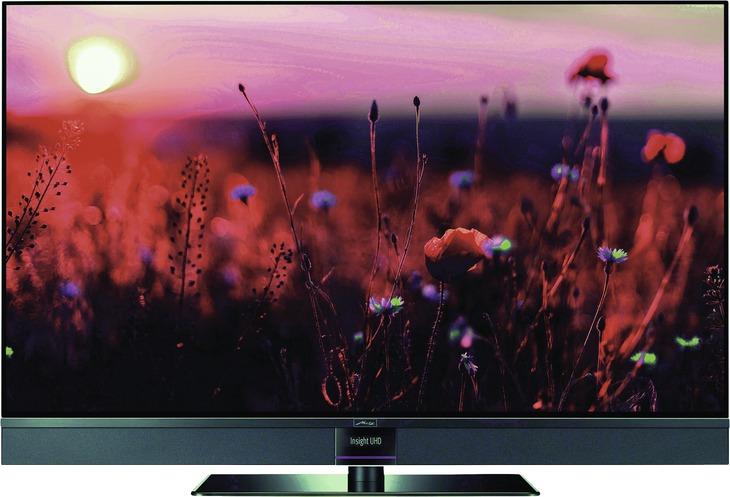 Metz Aurus 42 FA63 OLED twin